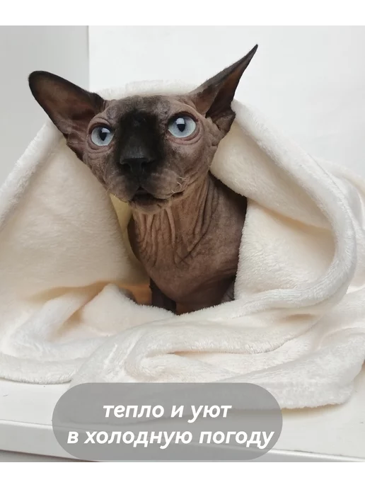 Blanketsforanimals Плед коврик лежанка для животных кошек собак 90х60 см, 90x60 см, фото 3