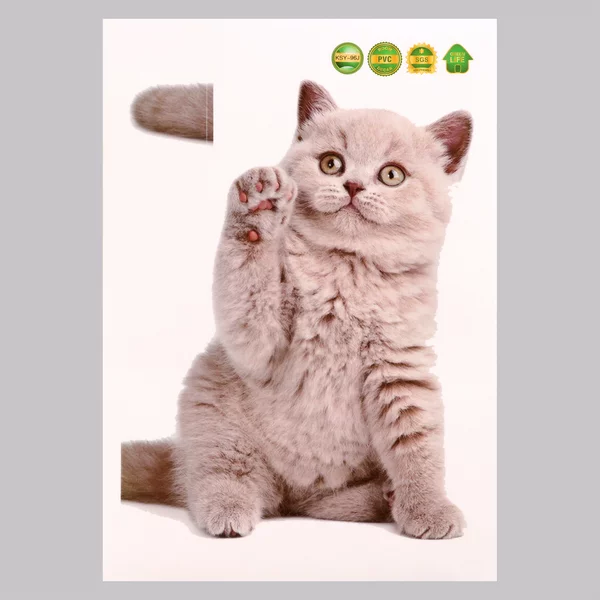 Наклейка 3Д интерьерная Котик