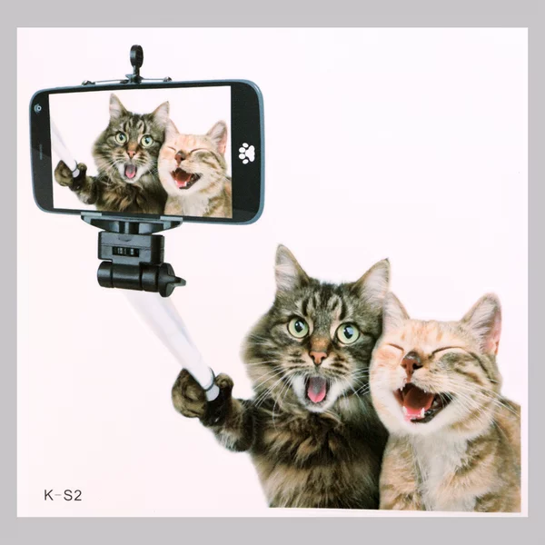 Наклейка 3Д интерьерная Котики