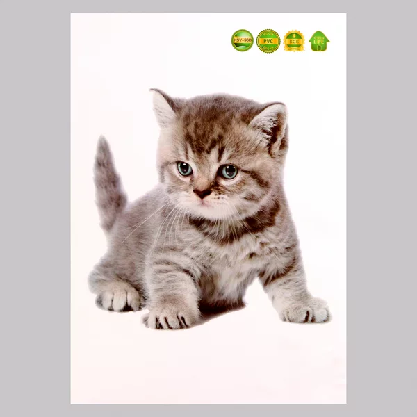 Наклейка 3Д интерьерная Котик