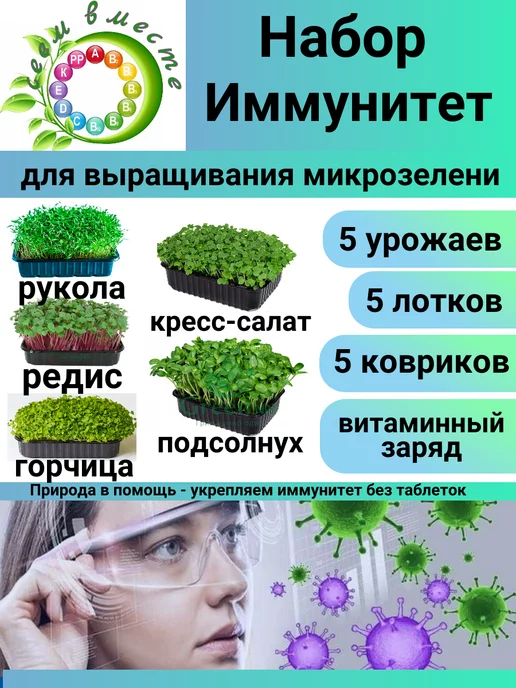 Сеем вместе Набор для выращивания микрозелени "ИММУНИТЕТ", 5 шт