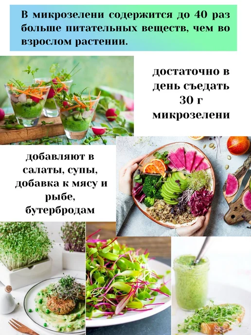 Сеем вместе Набор для выращивания микрозелени "ИММУНИТЕТ", 5 шт, фото 3