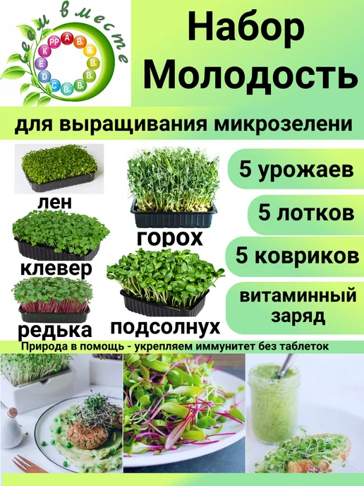 Сеем вместе Набор для выращивания микрозелени Молодость, 5 шт