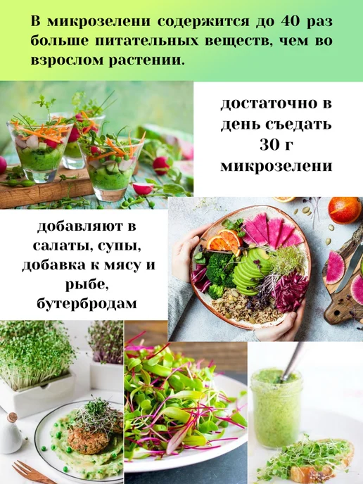 Сеем вместе Набор для выращивания микрозелени Молодость, 5 шт, фото 3