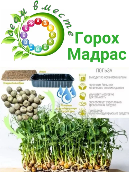 Сеем вместе Набор для выращивания микрозелени Молодость, 5 шт, фото 8