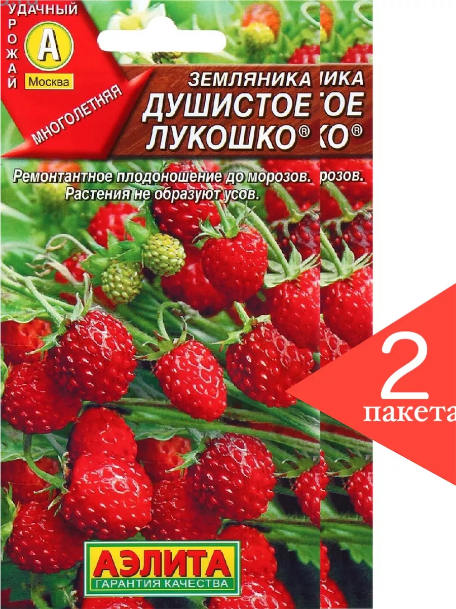 Земляника Лесная Семена Купить