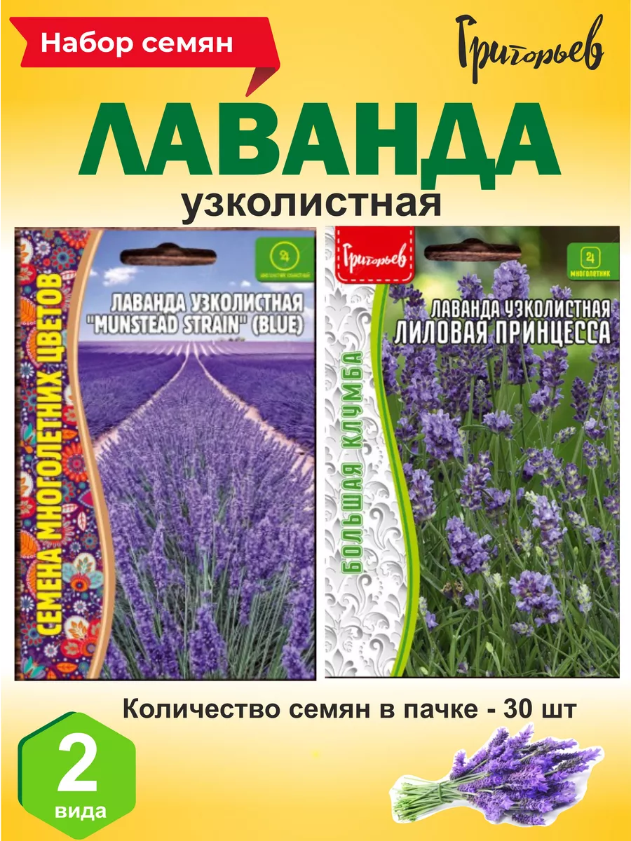 Семена Лаванда узколистная 2 вида FLORA GAIN 198012790 купить за 195 ₽ в  интернет-магазине Wildberries