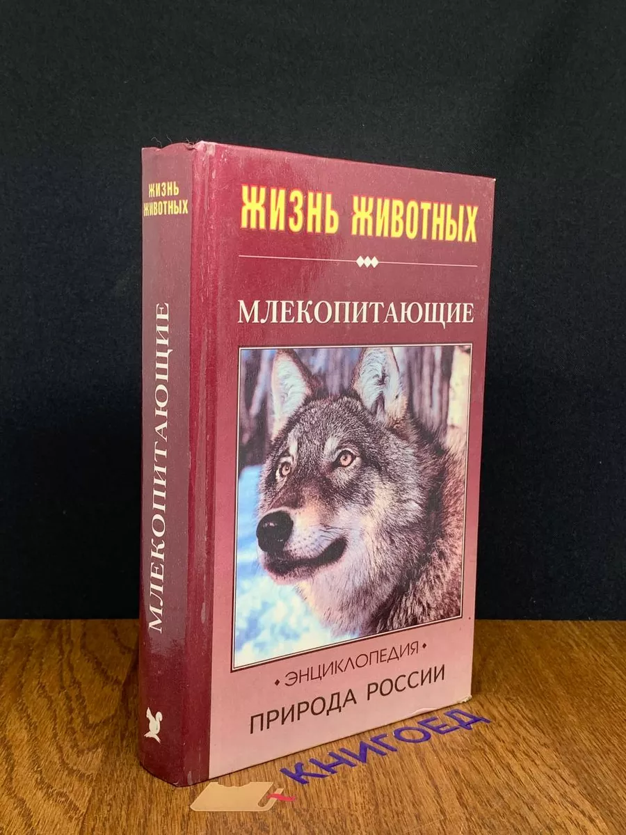 Жизнь животных. Природа России. Млекопитающие. Часть 1