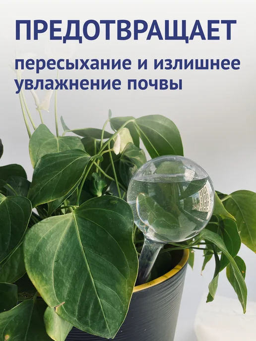 Avtopoliv Автополив для комнатных растений капельный полив цветов, вариант, фото 4