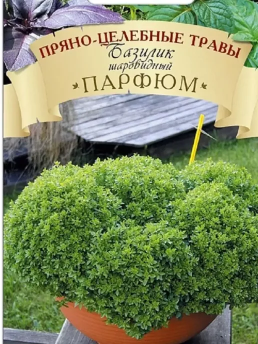 БИОТЕХНИКА Семена Базилик шаровидный Парфюм, зеленый, фото 2