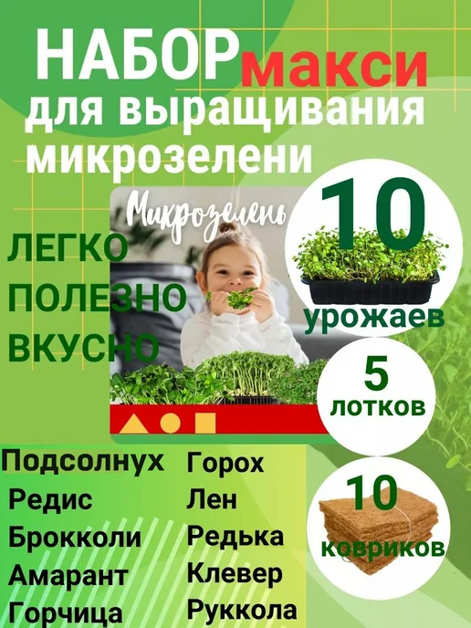Сеем вместе Набор для выращивания микрозелени МАКСИ, вариант