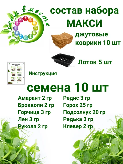 Сеем вместе Набор для выращивания микрозелени МАКСИ, вариант, фото 2