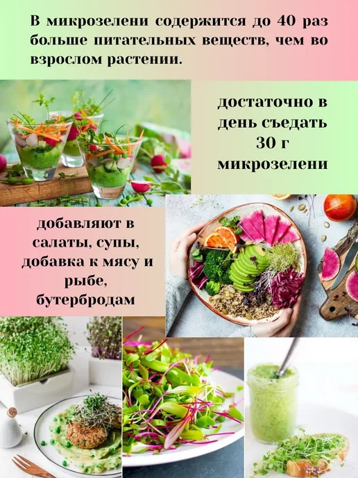 Сеем вместе Набор для выращивания микрозелени МАКСИ, вариант, фото 3