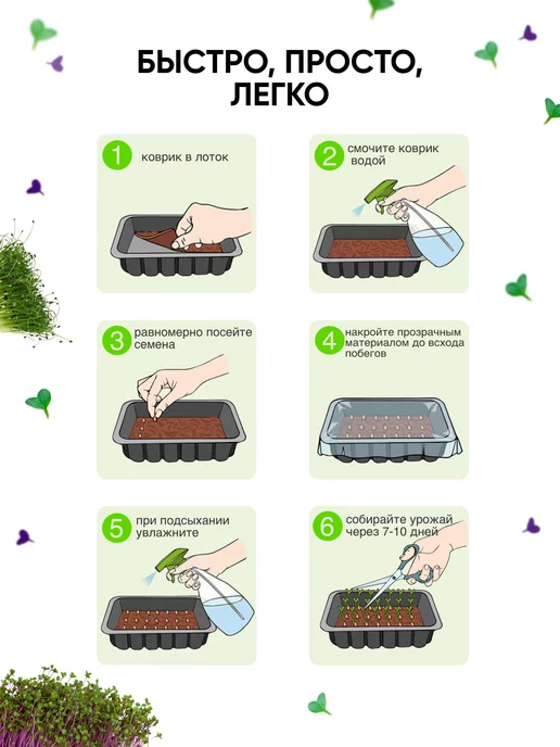 Сеем вместе Набор для выращивания микрозелени МАКСИ, вариант, фото 6