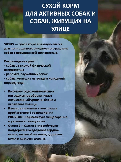 Сухой корм SIRIUS Активных для собак, 15 кг, фото 2