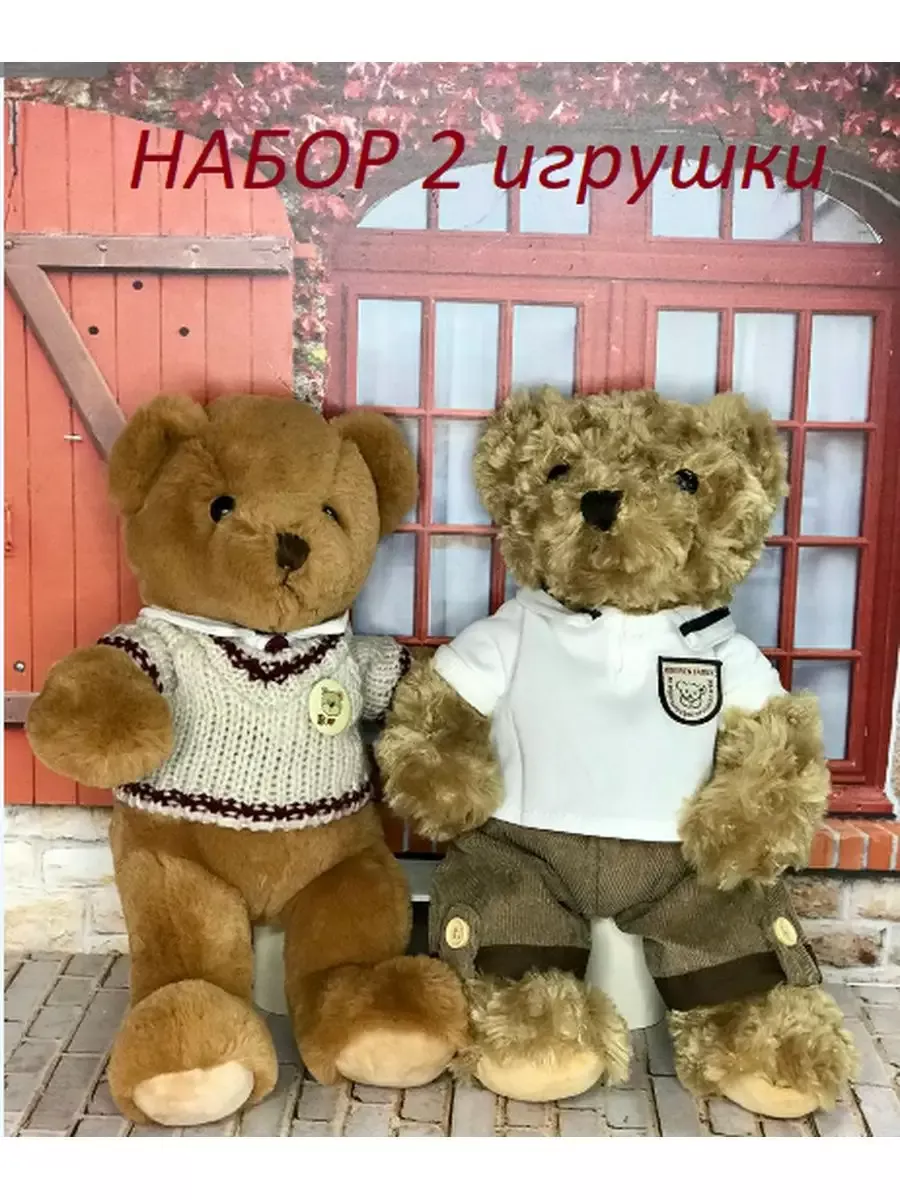 Мягкие игрушки Медвежата 30 см Toylandia 198250988 купить за 786 ₽ в  интернет-магазине Wildberries