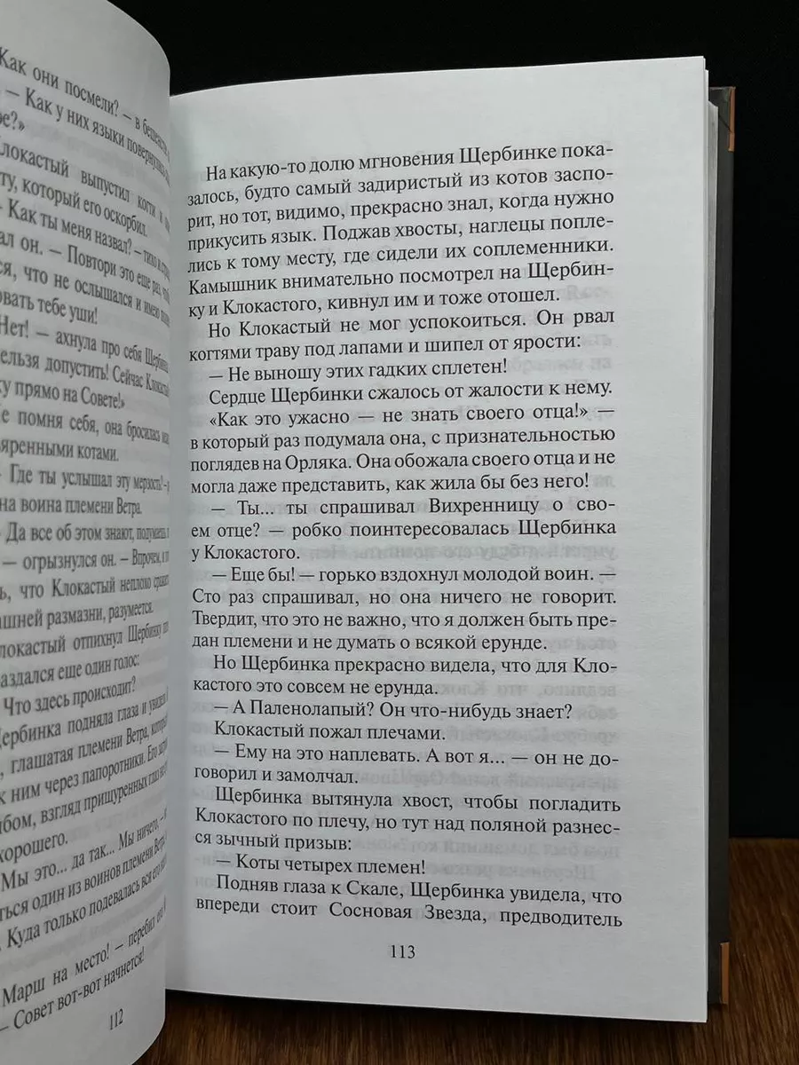 Коты-воители. Тайна Щербатой. Предназначение Абрис 198286354 купить в  интернет-магазине Wildberries