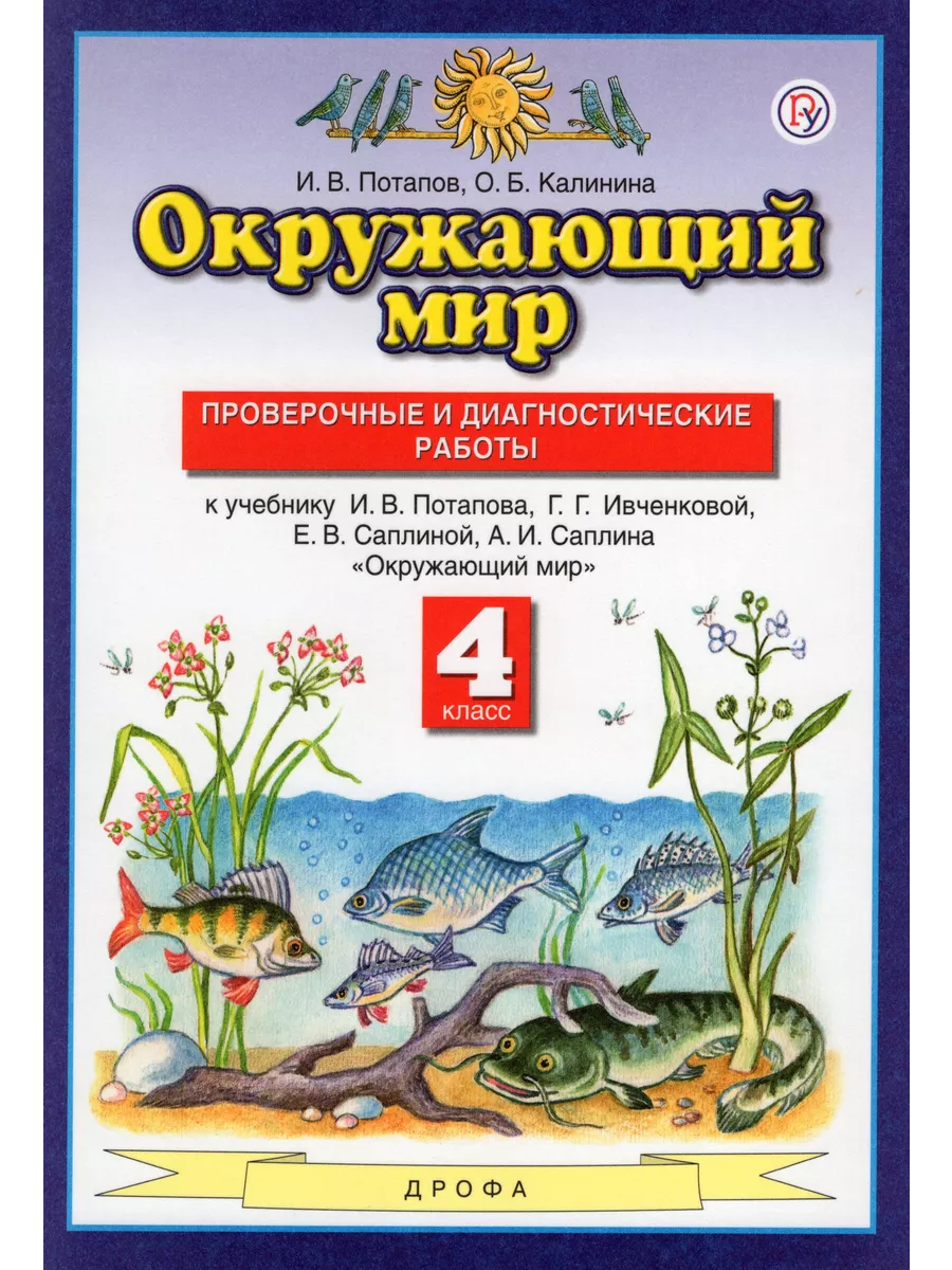 Окружающий мир. 4 класс. Проверочные и диагност Fkniga Дисконт 198327671  купить в интернет-магазине Wildberries