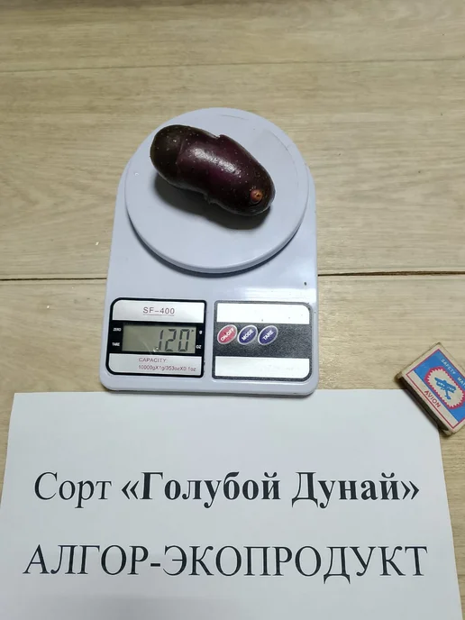 АЛГОР-ЭКОПРОДУКТ Картофель Голубой Дунай - 1 кг, 1 кг, фото 2