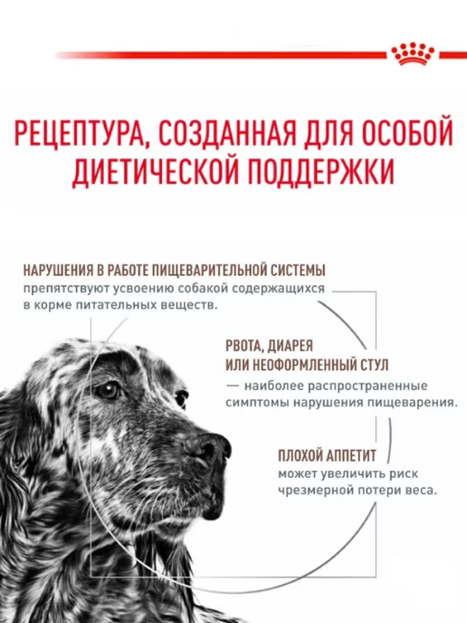 Сухой корм Royal canin При Нарушении для собак, 15 кг, фото 4