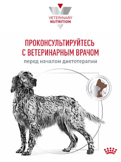 Сухой корм Royal canin При Нарушении для собак, 15 кг, фото 5