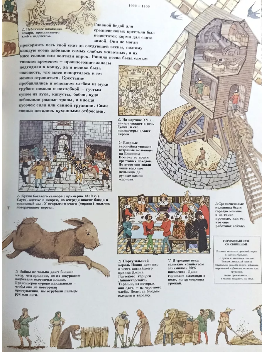 Пища. Застолье, повара и рецепты РОСМЭН-ПРЕСС 198449297 купить в  интернет-магазине Wildberries