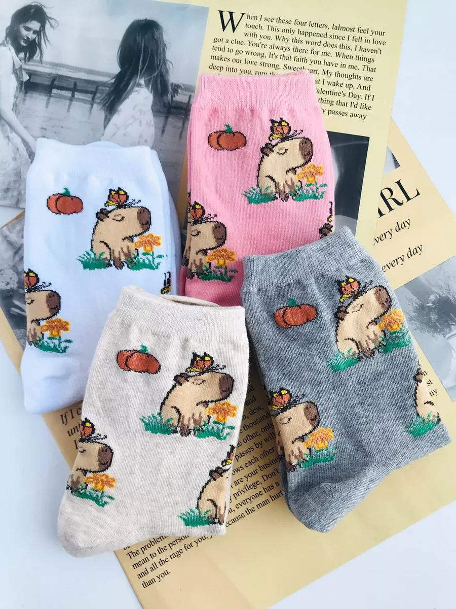 Носки корейские с принтом Капибара набор 4 пары Homesocks 198456309 купить  за 890 ₽ в интернет-магазине Wildberries