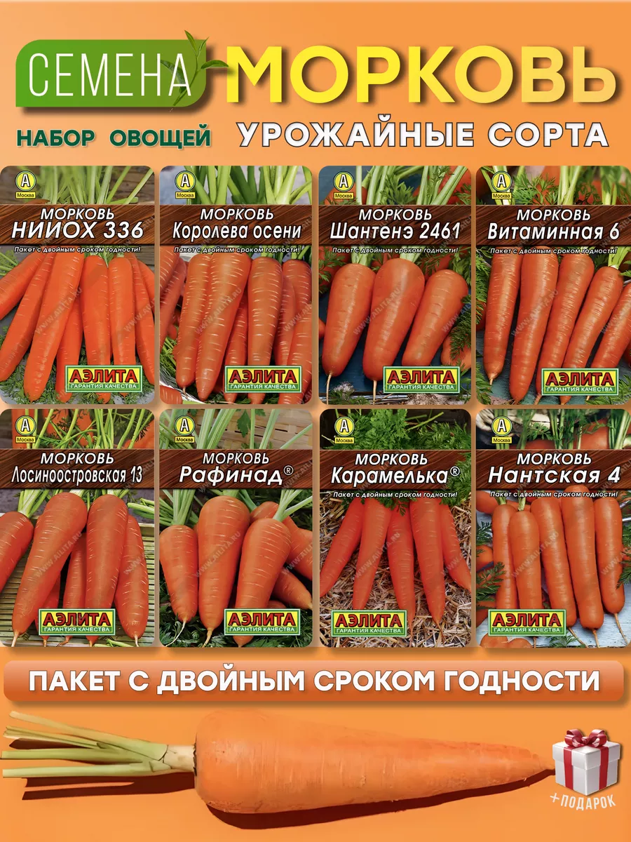 Семена моркови