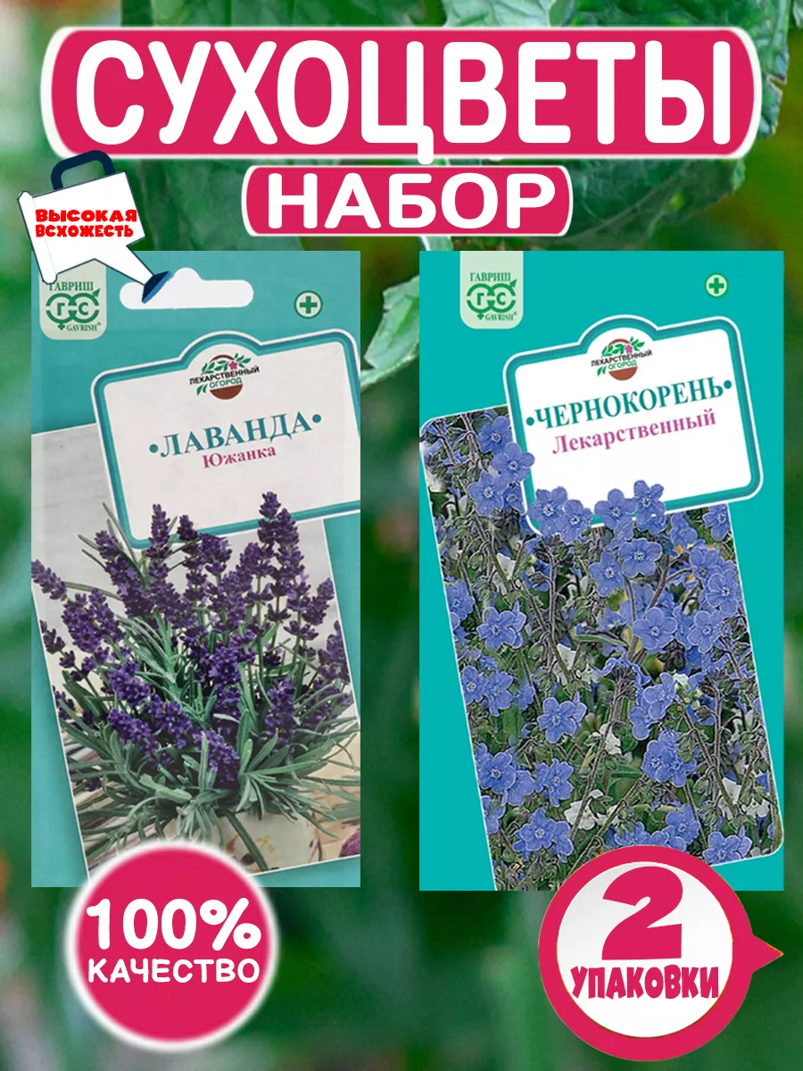 Лаванда Южанка и Чернокорень