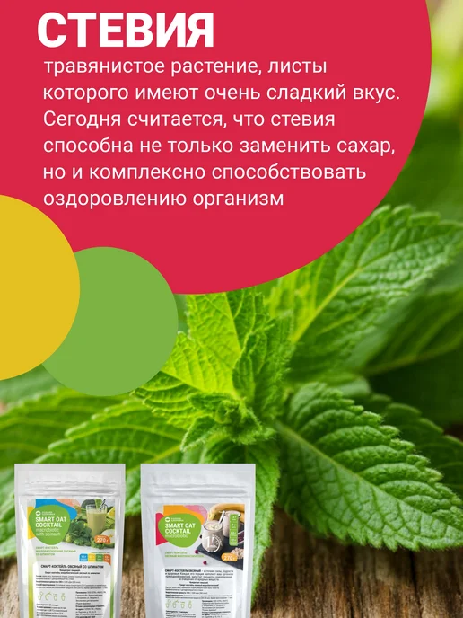 Родник Здоровья Коктейль овсяный со шпинатом для похудения очищение, 2 шт, фото 6
