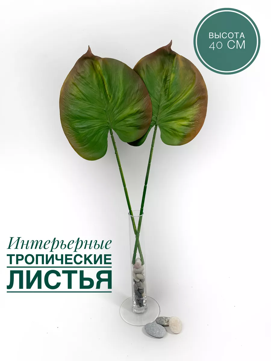 Листья тропические/Монстера/Зелень декоративная