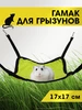 лайм, лимонный