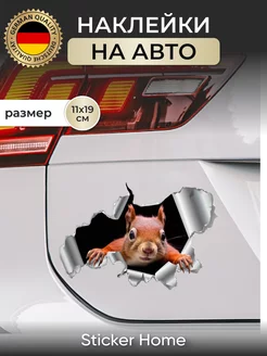 Наклейка на авто Белка Sticker home 198703619 купить за 202 ₽ в интернет-магазине Wildberries