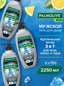 Гель для душа 3в1 Арктический ветер 750мл 3шт PALMOLIVE MEN 198705317 купить за 1 164 ₽ в интернет-магазине Wildberries