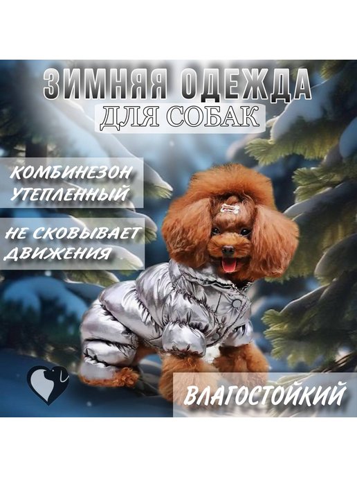 Базовая выкройка для собак | Шить просто — slep-kostroma.ru