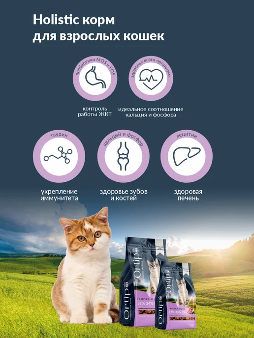 Сухой корм Ortipo Кошек для собак, ягненок, 0,5 кг, фото 4