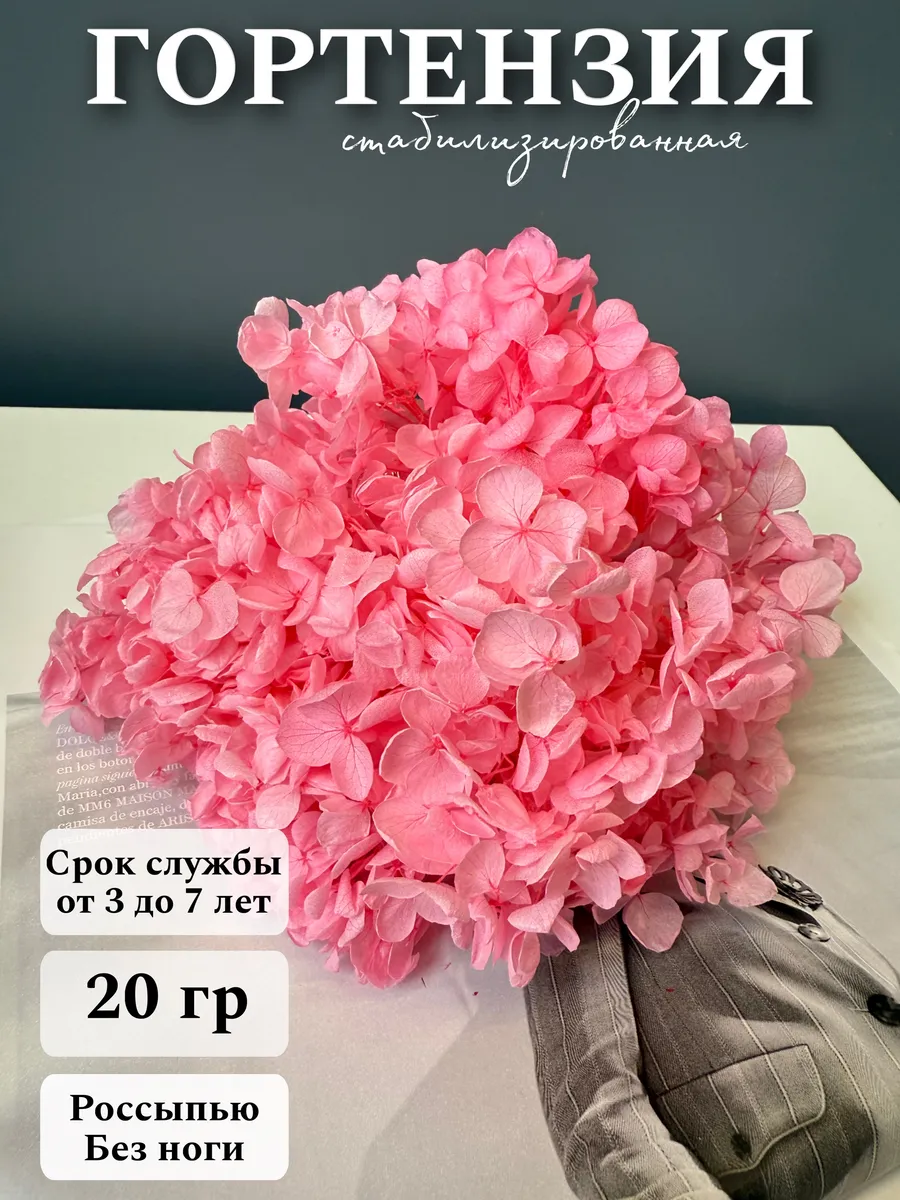 Сухоцветы для декора Гортензия стабилизированная 20 г
