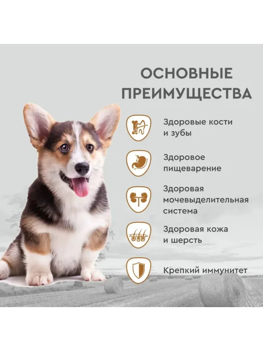 Сухой корм SECRET Маленьких для собак, курица, 2 кг, фото 4