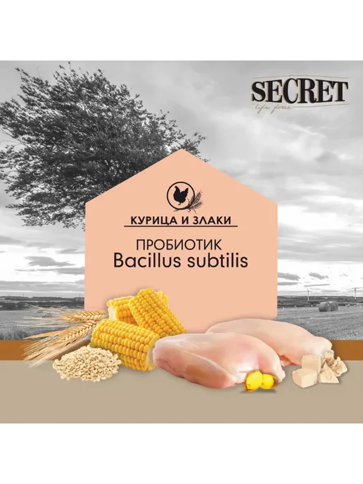 Сухой корм SECRET Маленьких для собак, курица, 2 кг, фото 7