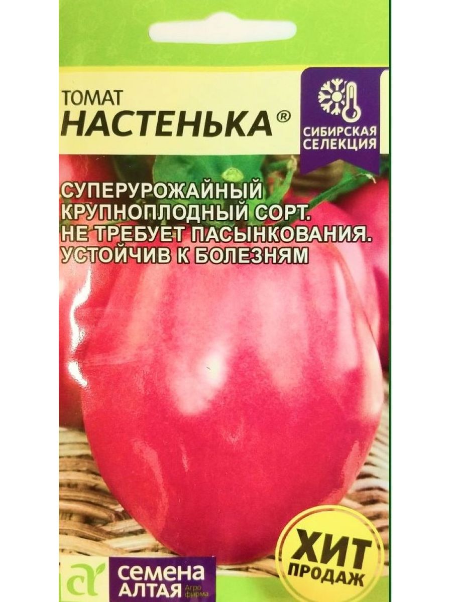 Сорт помидоров настенька отзывы садоводов. Томат Настенька семена. Семена Алтая Настенька семена томата. Томат Настенька розовый. Томат Настенька куст.