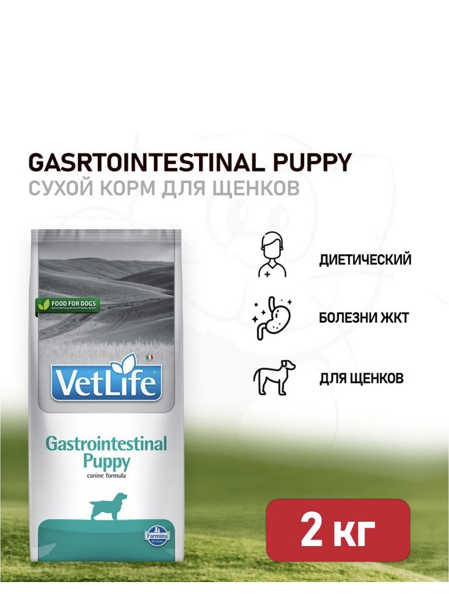 Vet life gastrointestinal сухой. Vet Life Gastrointestinal. Гастро Паппи. Farmina vet Life Dog Gastrointestinal есть влажный.