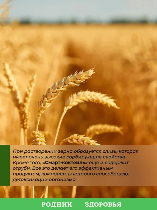 Родник Здоровья Диетический овсяный коктейль для похудения без сахара, 2 шт, фото 2