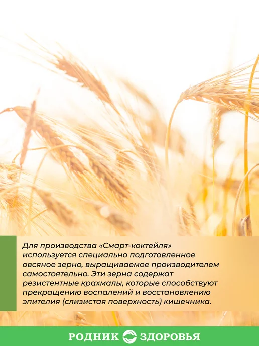 Родник Здоровья Диетический овсяный коктейль для похудения без сахара, 2 шт, фото 4