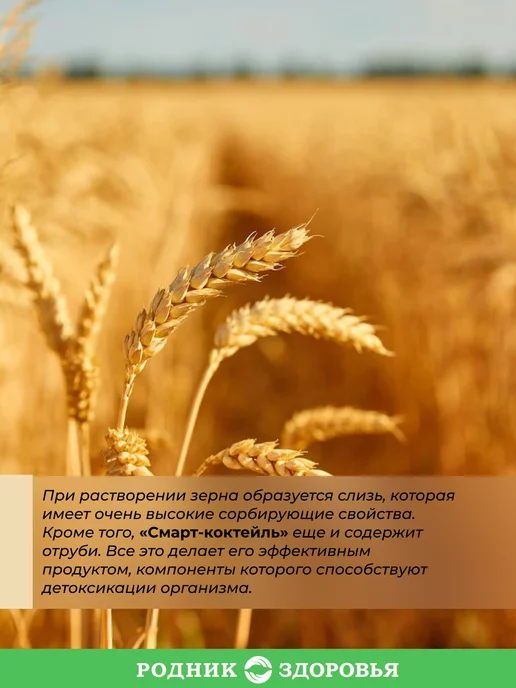 Родник Здоровья Овсяный смарт коктейль для похудения без сахара, вариант, фото 2