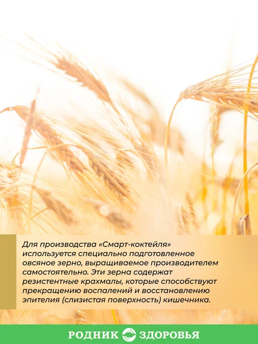 Родник Здоровья Овсяный смарт коктейль для похудения без сахара, вариант, фото 4