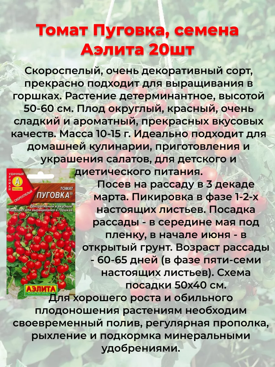 Семена томат Пуговка для подоконника ранний Всегда с урожаем 199420554  купить за 116 ₽ в интернет-магазине Wildberries