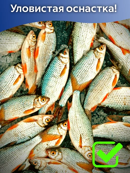 NeoFisher Готовая оснастка Плотва для рыбалки 2 шт, 2 шт, фото 3