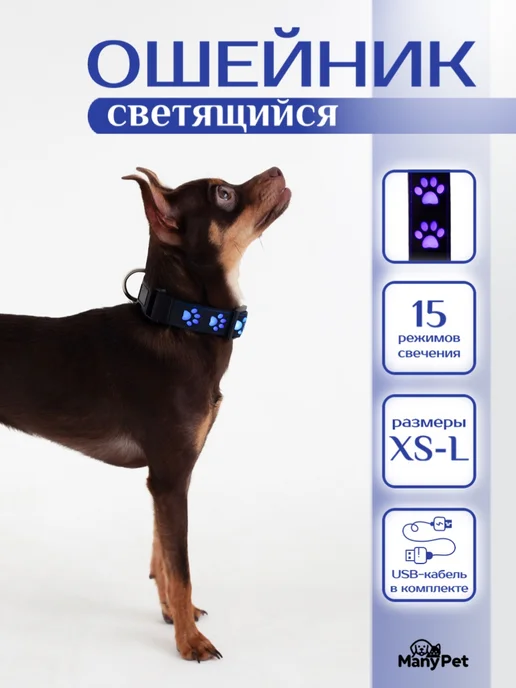 ManyPet Ошейник светящийся для собак с USB, черный