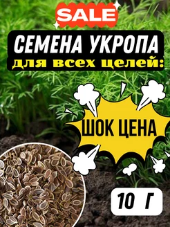 Семена укропа для посева на зелень 10 г AYLEM 199598492 купить за 99 ₽ в интернет-магазине Wildberries