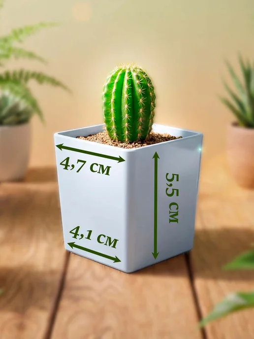Стильные горшочки Aloe descoingsii (набор для выращивания), 5 шт, фото 4